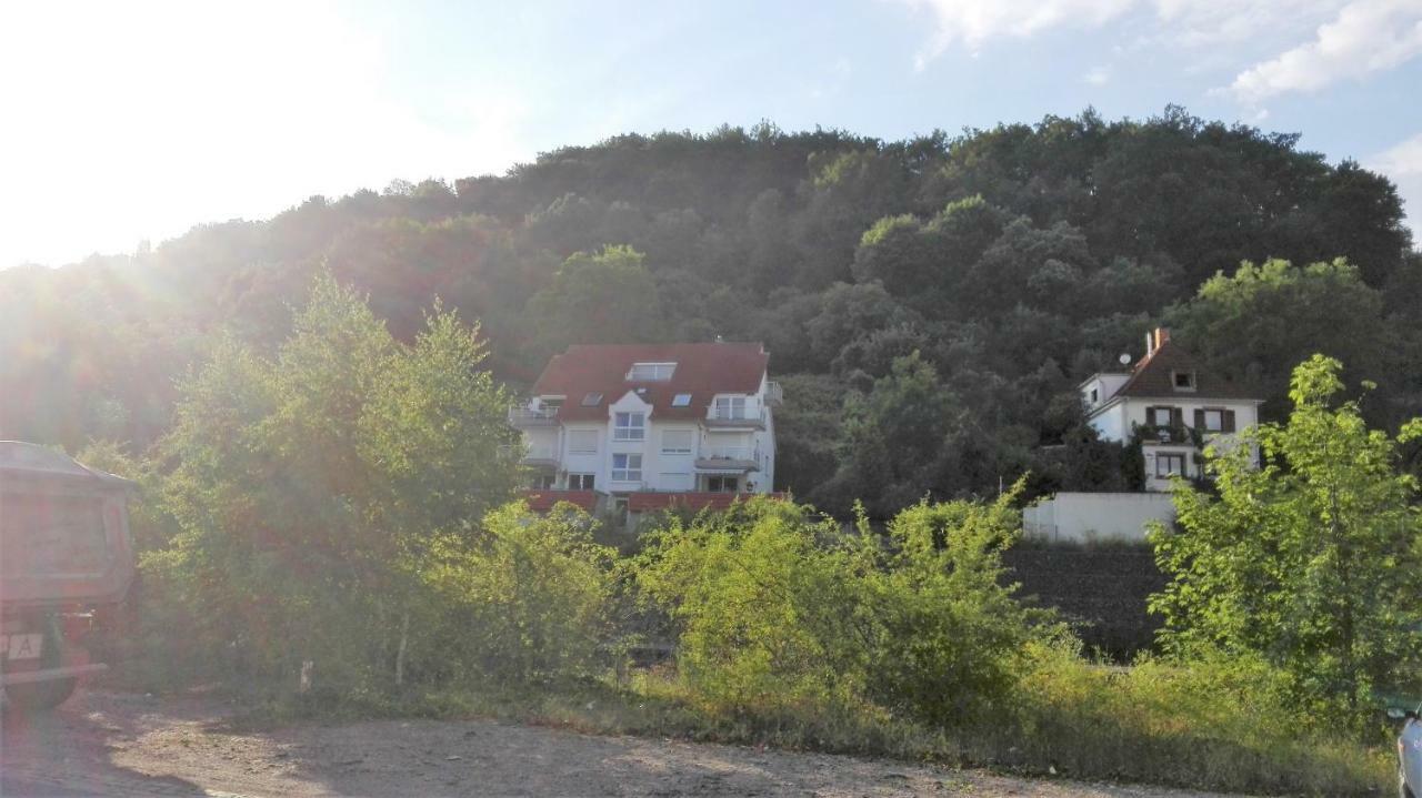 Ferienwohnung Anita Annweiler am Trifels Dış mekan fotoğraf